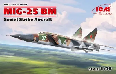 Sowiecki myśliwiec Mig-25 BM Foxbat