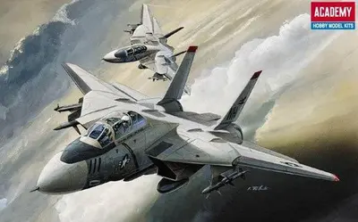 Amerykański myśliwiec F-14 Tomcat Navy