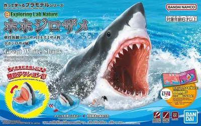 Bandai 63392 EXPLORING LAB NAUTRE GREAT WHITE SHARK GUN63392 ID [   ]