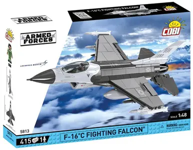 F-16C Fighting Falcon