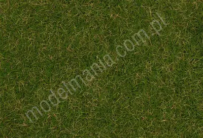 Posypka statyczna - dzika trawa - letnia łąka ​​4mm / 30g