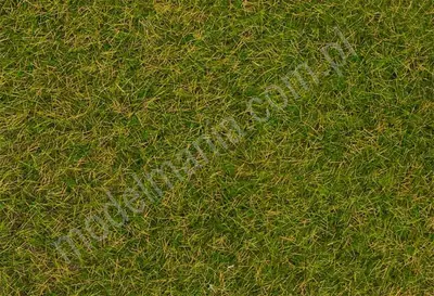 Posypka statyczna - dzika trawa - wczesnoletnia łąka ​​4mm / 80g