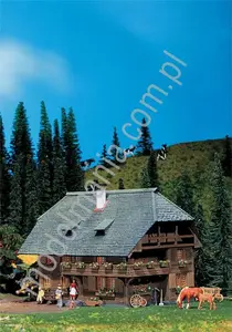 Budynek alpejski