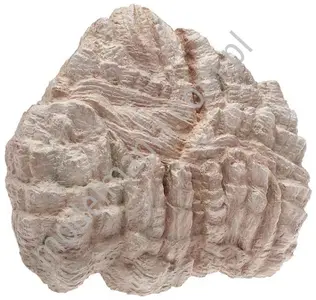 Skałki "Dolomit"