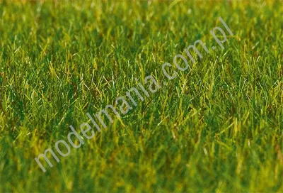 Podsypka statyczna, ciemna zieleń 6mm / 30g
