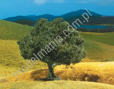 Dąb 10cm (Seria Premium) / 1szt.
