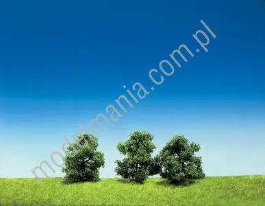 Krzewy / 3szt.