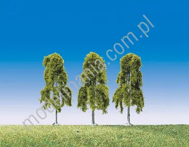 Brzoza 9cm (Seria Top) / 3szt.