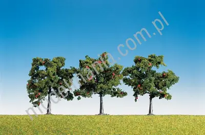 Jabłoń 8cm / 3szt.