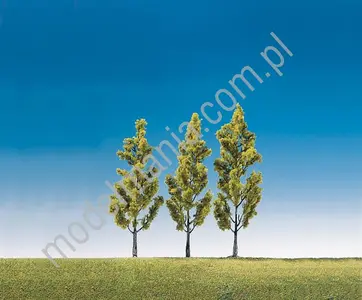 Brzoza 13cm / 3szt.