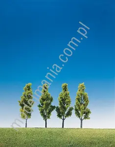 Brzoza 9cm / 4szt.