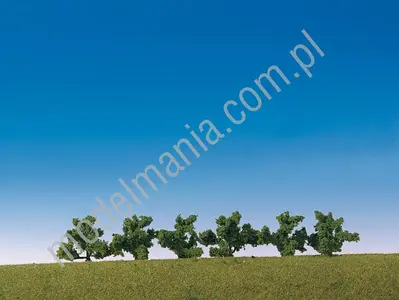 Krzewy / 6szt.