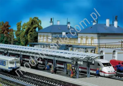Peron ICE / 2szt.