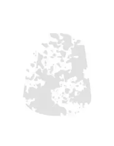 Technical: Valhallan Blizzard (24ml) (27-32)