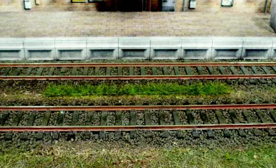 Pas trawy, letni / 10cm
