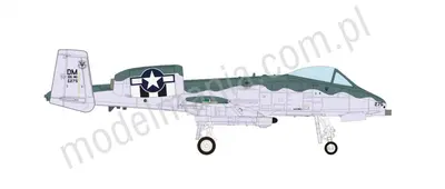 A-10C USAF 355th FW Demo Team