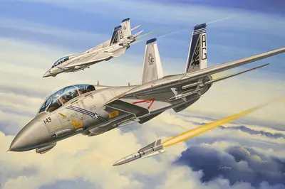 Amerykański myśliwiec pokładowy F-14B Tomcat