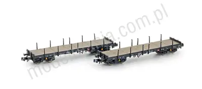 Zestaw 2 wagonów towarowych platform z kłonicami Rmms663