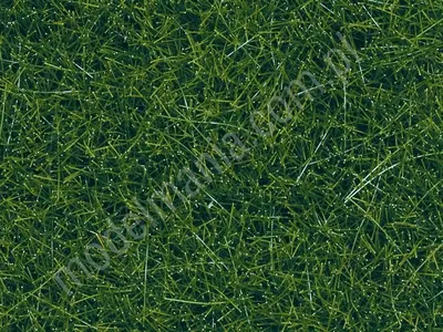 Dzika trawa / 50g