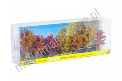 Jesienne drzewa 8-10cm / 7szt.