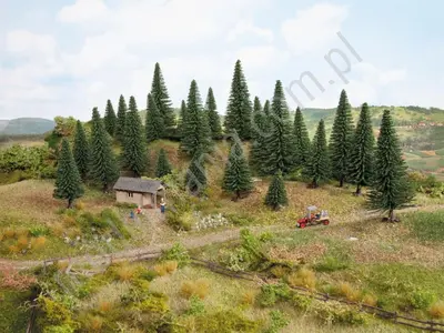 Zestaw jodeł 25szt 5-14cm