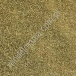 Podsypka statyczna, beżowa 6mm / 50g