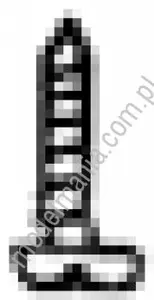 Zylinderblechschraube