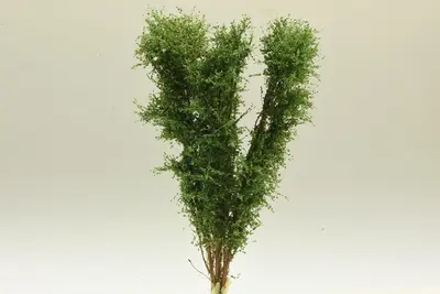 Drzewo liściaste 13 cm