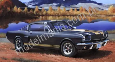 Samochód Ford Mustang Shelby GT350