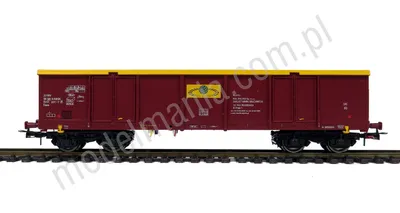 Wagon towarowy węglarka typ UIC, Eaos "Rail Polska"