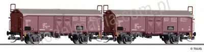 Zestaw 2 wagonów towarowych Tims 5756