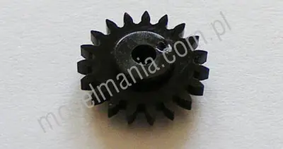 Zębatka z19